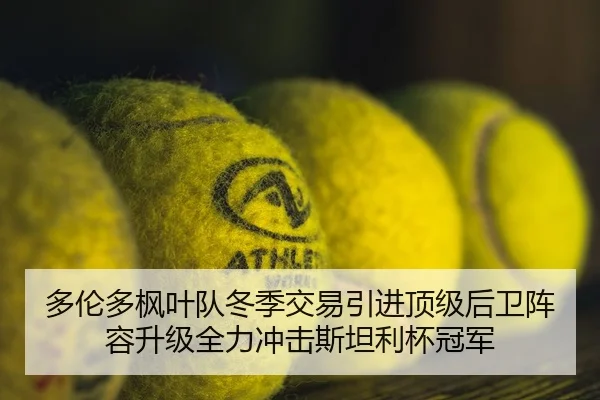 多伦多枫叶队冬季交易引进顶级后卫阵容升级全力冲击斯坦利杯冠军